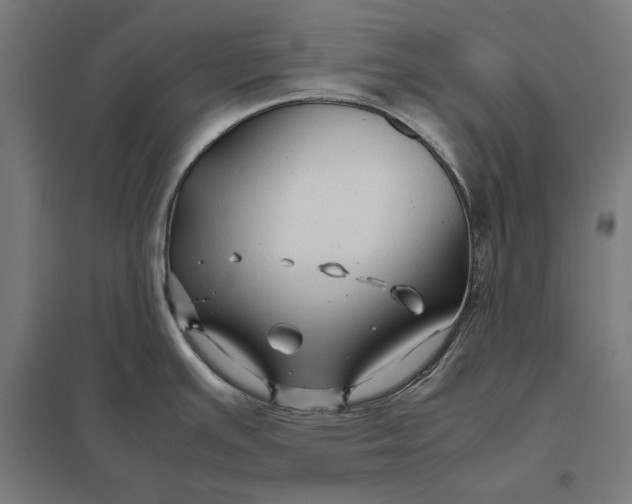 X0000097901391200803281329