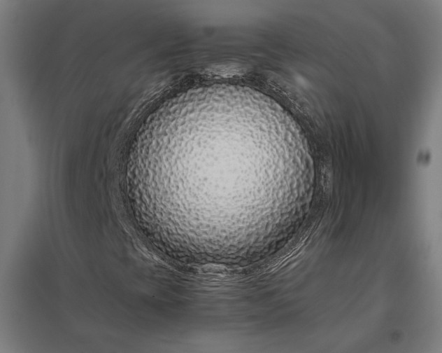 X0000097901393200803281328