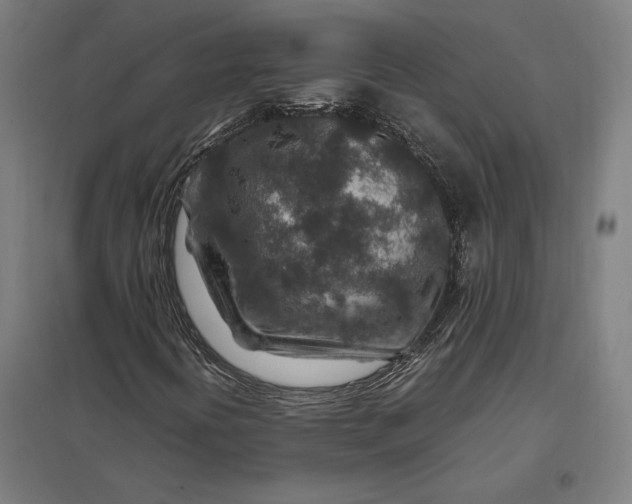 X0000097901394200803281328