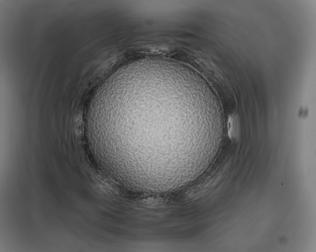 X0000097901395200803281328