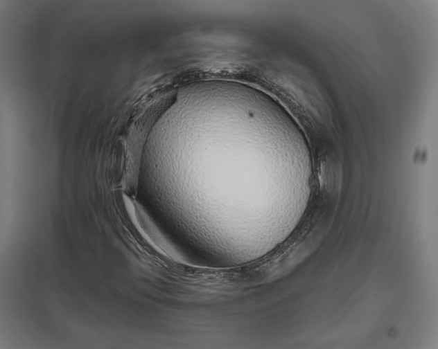 X0000097901396200803281328
