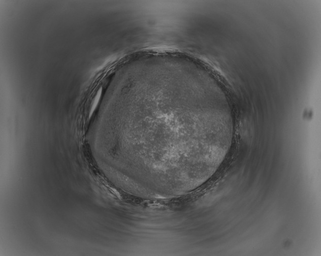 X0000097901398200803281328
