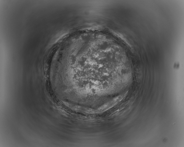 X0000097901399200803281328