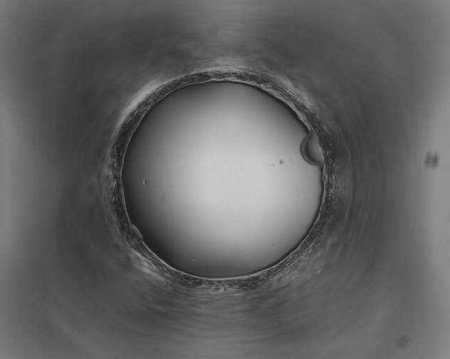 X0000097901400200803281329