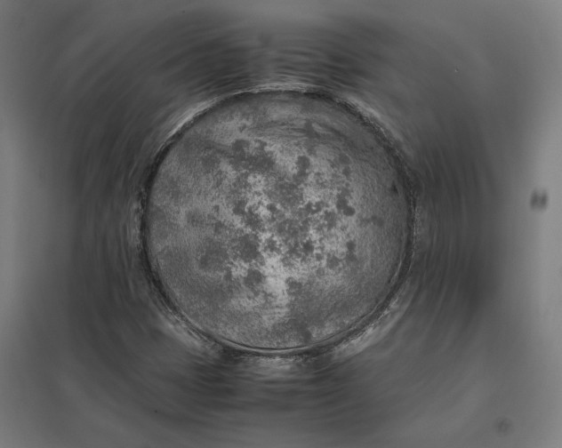 X0000097901401200803281329