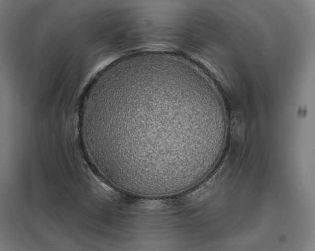 X0000097901402200803281329