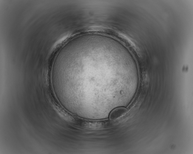 X0000097901403200803281329