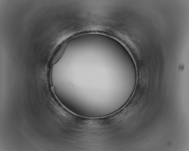 X0000097901404200803281329