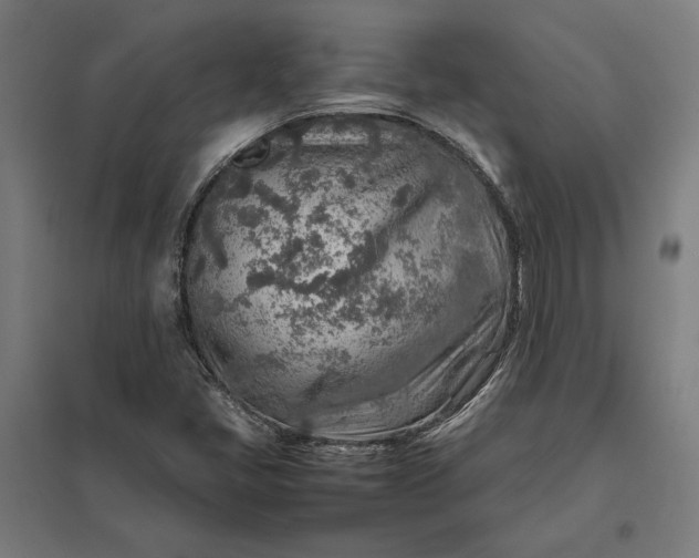 X0000097901405200803281329