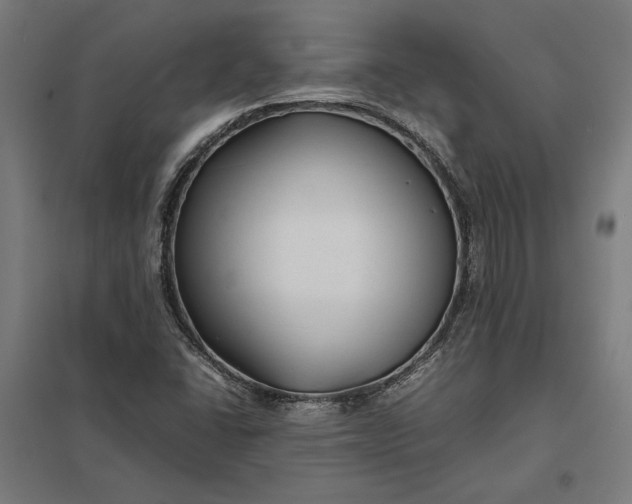 X0000097901406200803281329