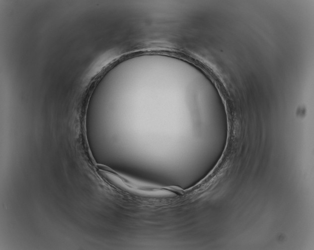 X0000097901407200803281329