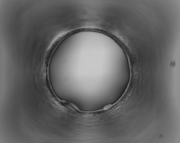 X0000097901408200803281329