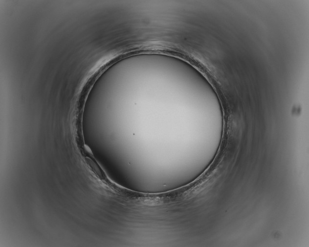 X0000097901410200803281329
