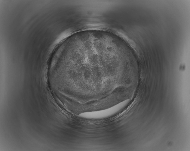 X0000097901411200803281329