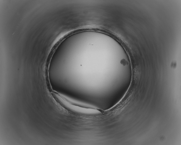 X0000097901412200803281329