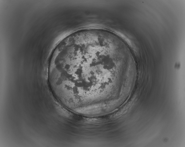 X0000097901413200803281329