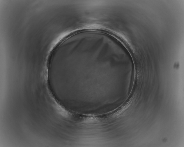X0000097901414200803281329
