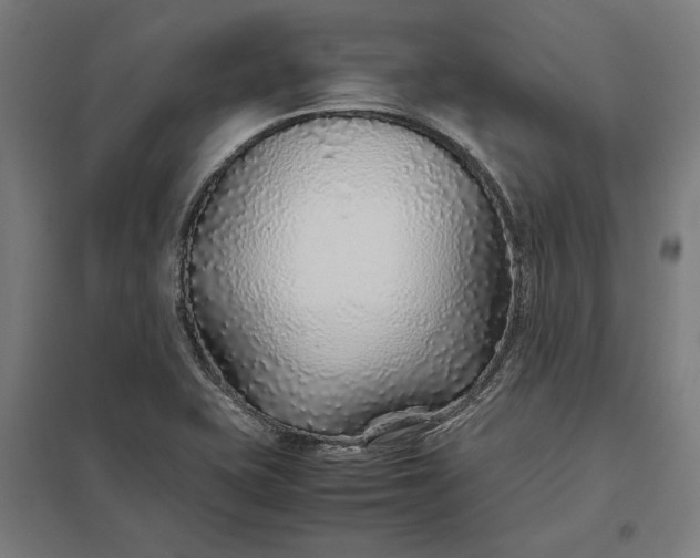 X0000097901415200803281329