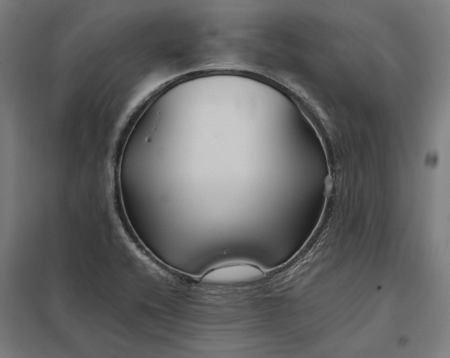X0000097901416200803281329