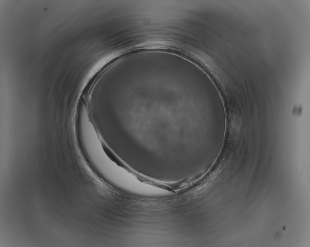 X0000097901418200803281329