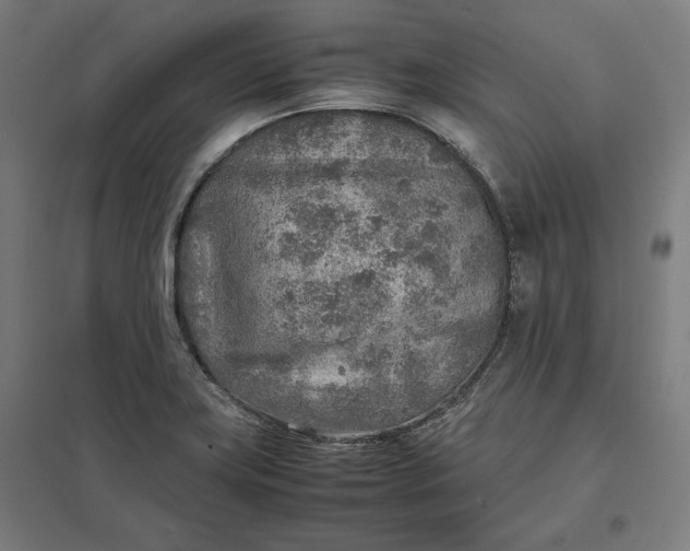 X0000097901419200803281329