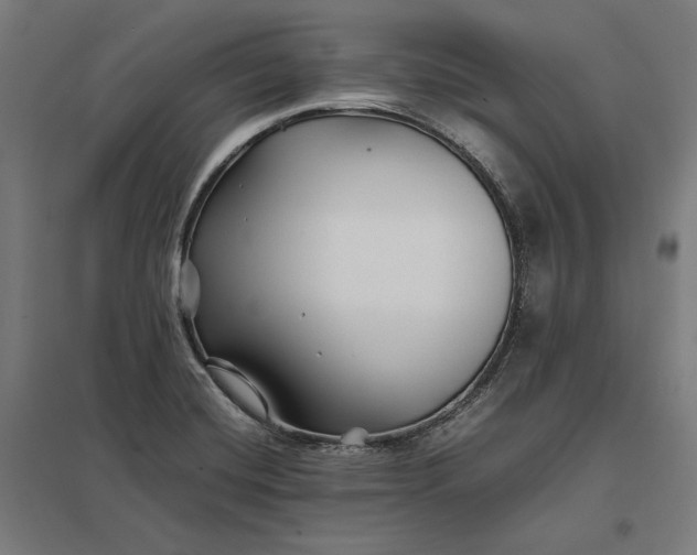 X0000097901420200803281329