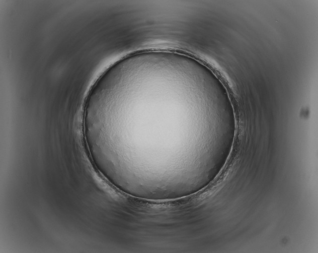 X0000097901421200803281329