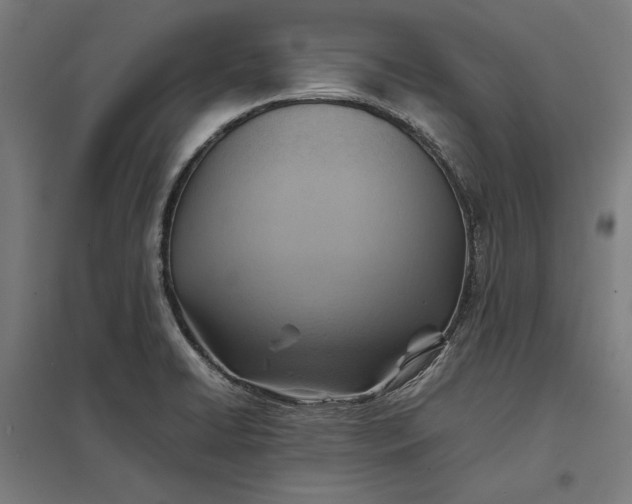 X0000097901422200803281329