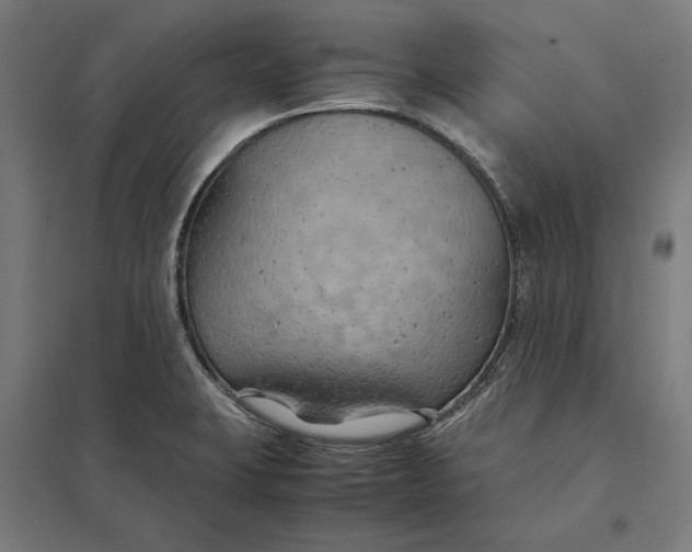 X0000097901423200803281329