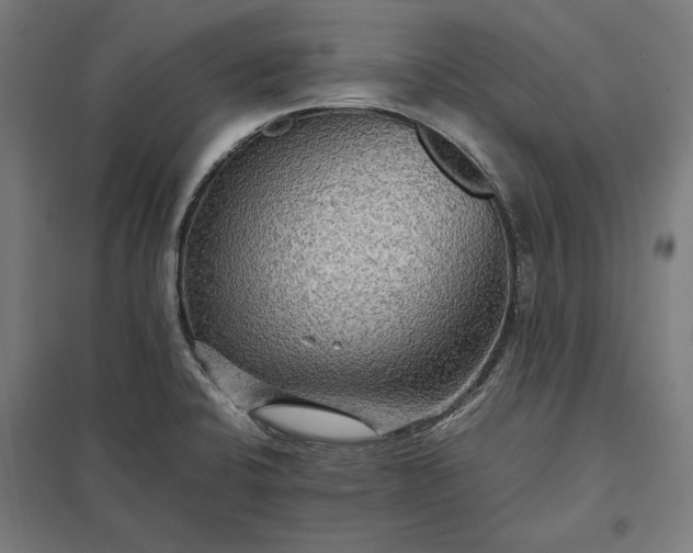 X0000097901424200803281329