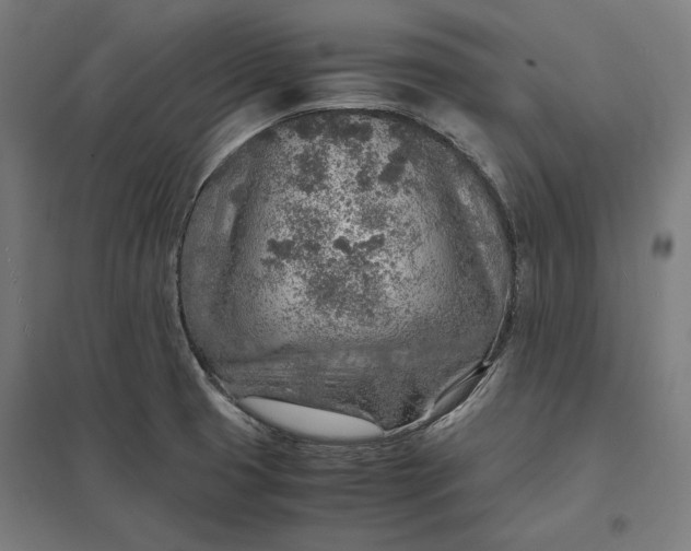 X0000097901425200803281329