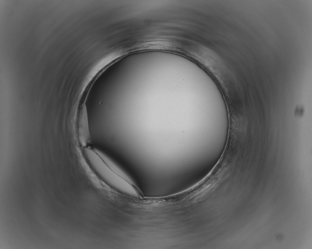 X0000097901426200803281329