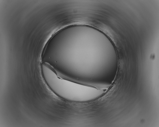 X0000097901428200803281329