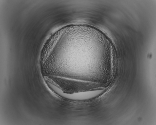 X0000097901429200803281329