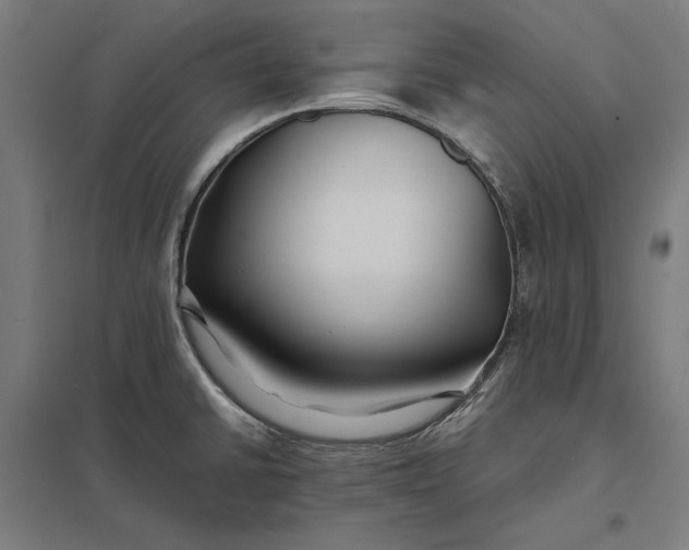 X0000097901430200803281329