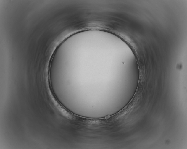 X0000097901431200803281329