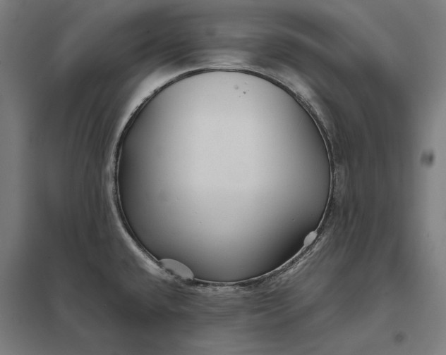 X0000097901432200803281329