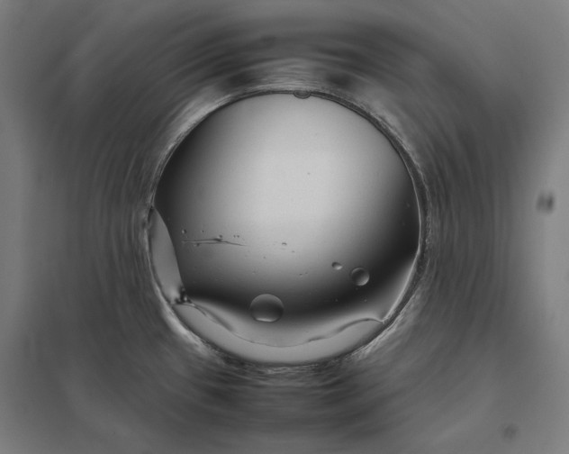 X0000097901433200803281329