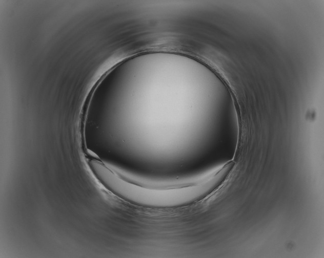 X0000097901434200803281329
