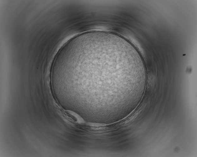 X0000097901435200803281329