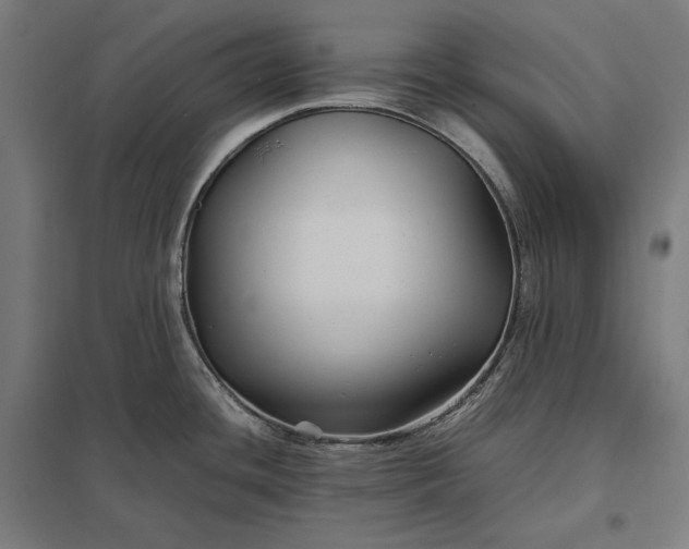 X0000097901436200803281329