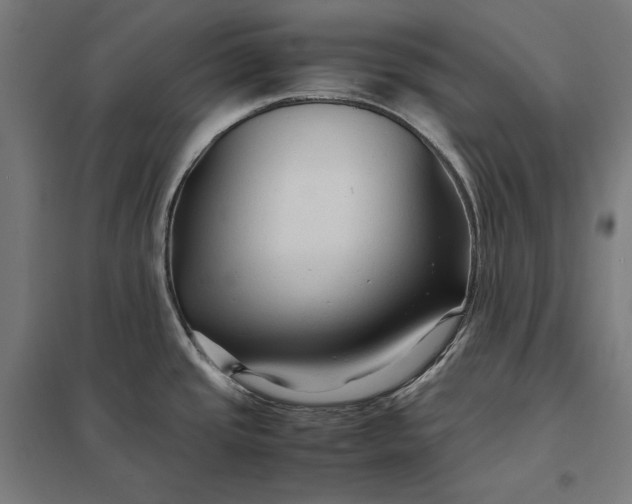 X0000097901437200803281329