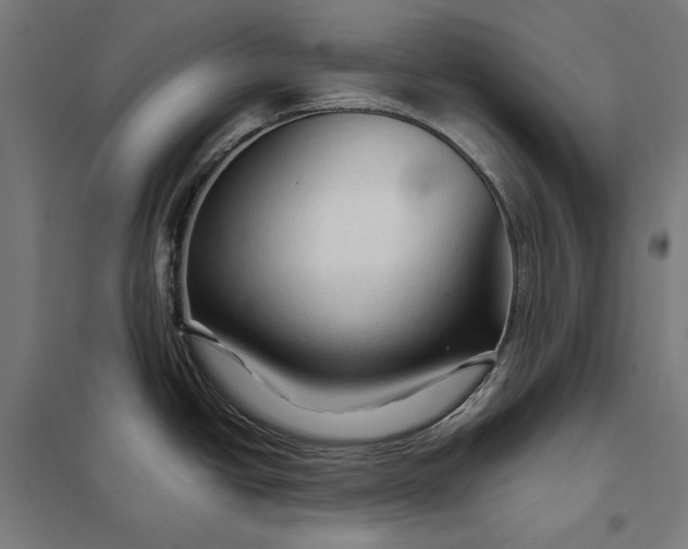 X0000097901438200803281329