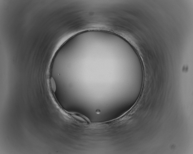 X0000097901440200803281329