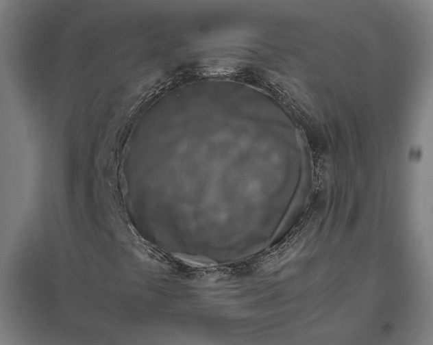 X0000097901441200803281328