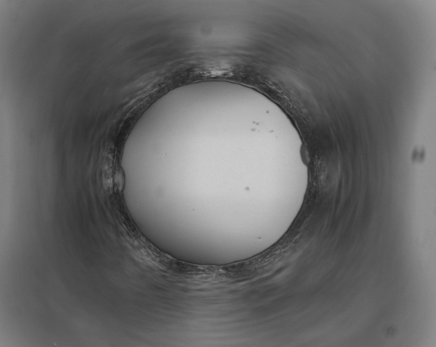 X0000097901442200803281328