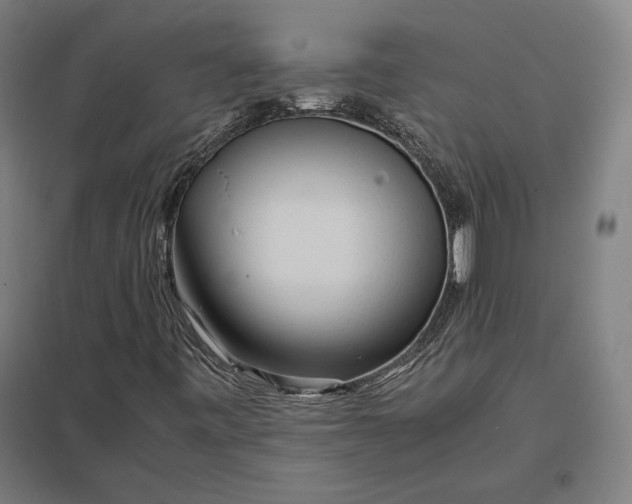 X0000097901443200803281328