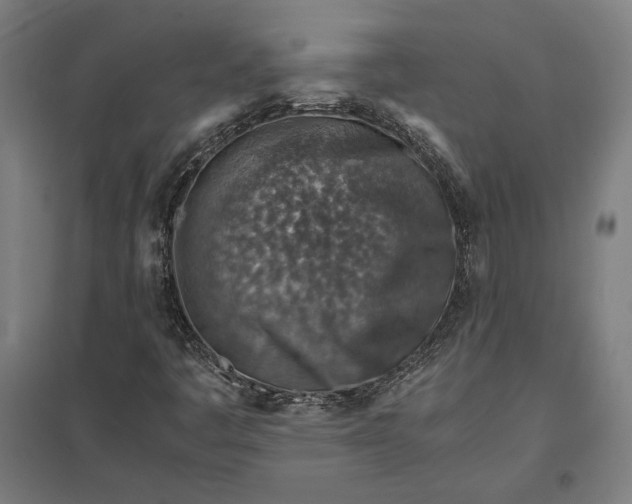 X0000097901445200803281328
