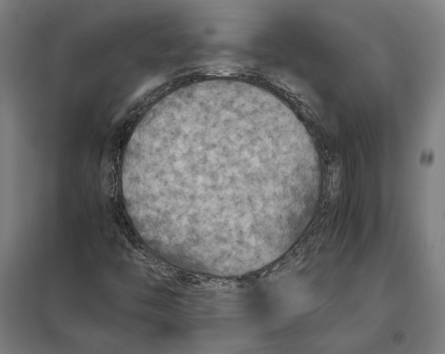 X0000097901446200803281328