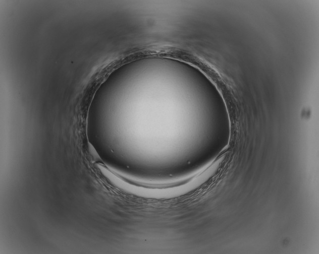 X0000097901447200803281328